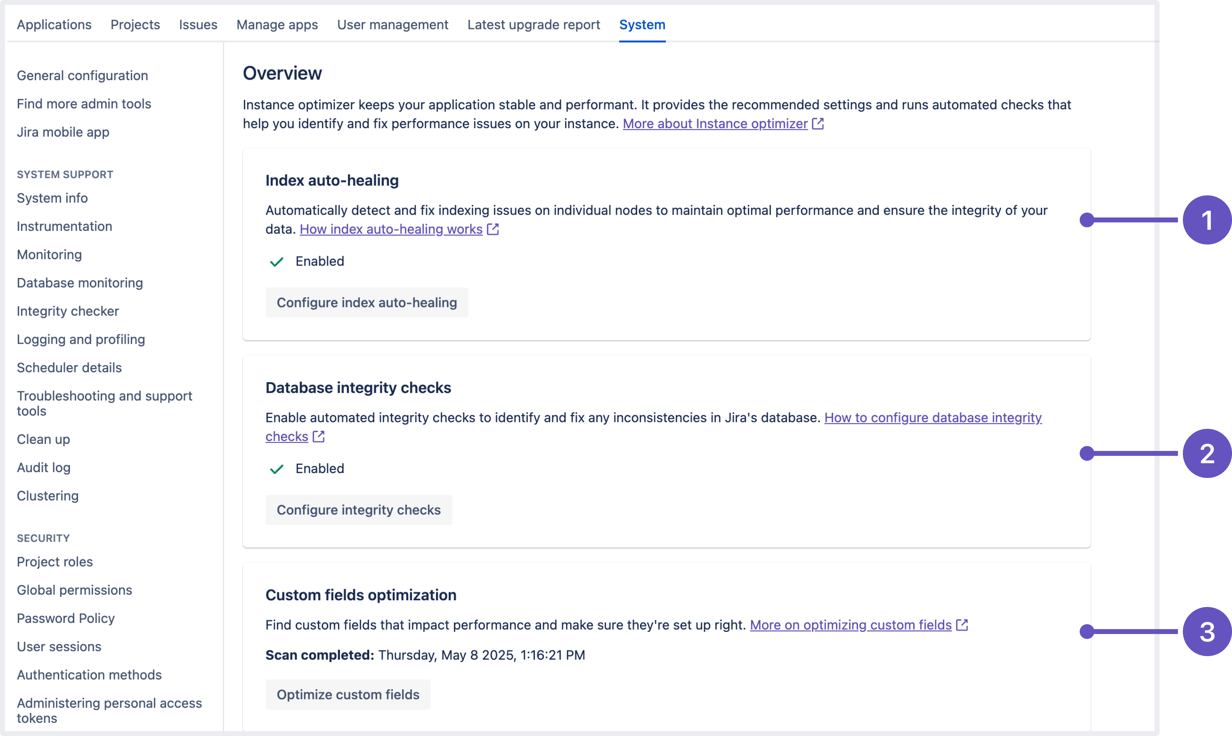 Modal of the Instance Optimizer for Jira